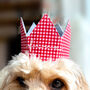 Gingham Dog Birthday Bandana And Hat Set, thumbnail 3 of 11