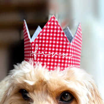 Gingham Dog Birthday Bandana And Hat Set, 3 of 11