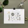 ‘New Beginnings’ Spring Bulb Giclée Art Print, thumbnail 1 of 3