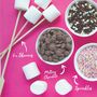 Mallows Deluxe And Funfetti Dipping Kits Set, thumbnail 4 of 5