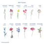 Birth Flower Font Birthday Keepsake Card, thumbnail 2 of 2