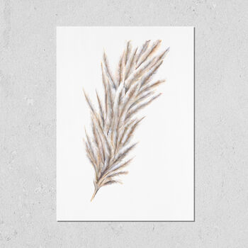 Pampas Grass A3 Art Print, 2 of 4