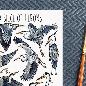Herons Watercolour Illustrated Postcard, 6 of 8
