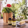 Gardening Hand Care Gift Set, thumbnail 1 of 2