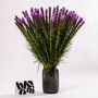 Purple Liatris Fresh Flower Bouquet, thumbnail 1 of 3