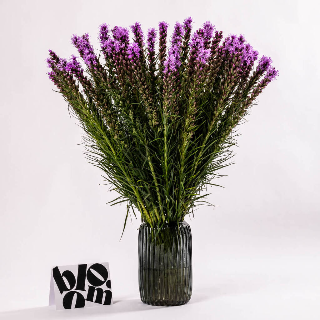 Purple Liatris Fresh Flower Bouquet, 1 of 3