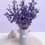 Blue Dried Delphiniums With Vase Gift, thumbnail 1 of 4