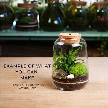 Lantern Stype Terrarium Jar | H: 21 Cm, 3 of 4