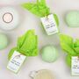 You Are The Best Eucalyptus, Lemon Bath Bomb Refreshing Soak, thumbnail 4 of 4