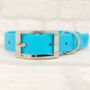 Waterproof Dog Collar And Lead Set Baby Blue, thumbnail 2 of 3