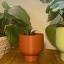 3D Printed Tall Curved Plant Pot With Drainage, thumbnail 7 of 9