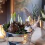 Easter Bucket With Spring Bulbs Gift, thumbnail 4 of 5