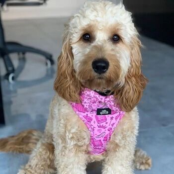 Dog Harness | Pink Princess, 9 of 12