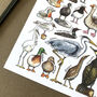 Water Birds Of Britain Watercolour Postcard, thumbnail 5 of 12