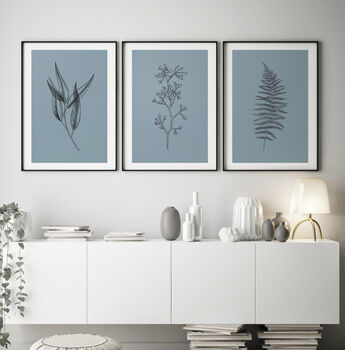 Floral Set Of Three Line Art Botanical Prints, 8 of 12