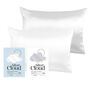 Silver Cloud White And Silver Pillowcase Set, thumbnail 1 of 8