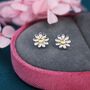 Sterling Silver Little Daisy Flower Stud Earrings, thumbnail 1 of 10