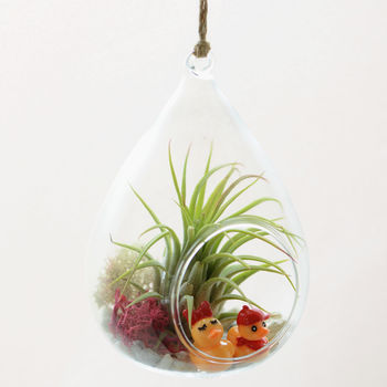 Air Plant Terrarium With Choices Of Figurines, 2 of 3