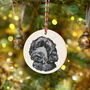 Custom Christmas Bauble Decoration Of Your Pet, thumbnail 1 of 11