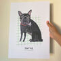 Personalised Illustrated Pet Portrait, thumbnail 1 of 12