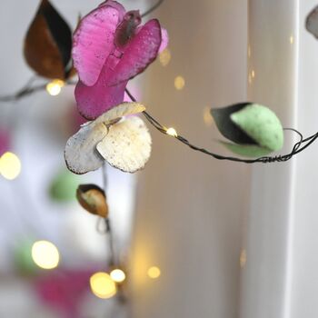 Orchid Fairy Lights, 2 of 3