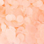 Peach Wedding Confetti | Biodegradable Paper Confetti, thumbnail 1 of 7