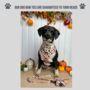 Patchwork Dog Collar Bow Tie, thumbnail 4 of 6