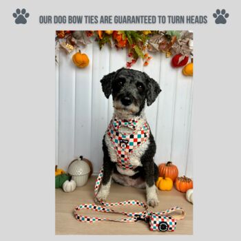 Patchwork Dog Collar Bow Tie, 4 of 6