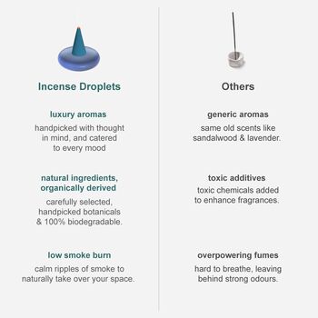 Ripple⁺ Relax Wild Berry Incense | 26 Cones, 3 of 3