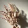 Blush Hydrangea Dried Flower Posy With Jar, thumbnail 8 of 10