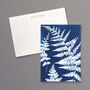 British Ferns Postcard Pack Of Five, thumbnail 3 of 7