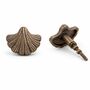 Nautical Brass Seashell Knob, thumbnail 1 of 8