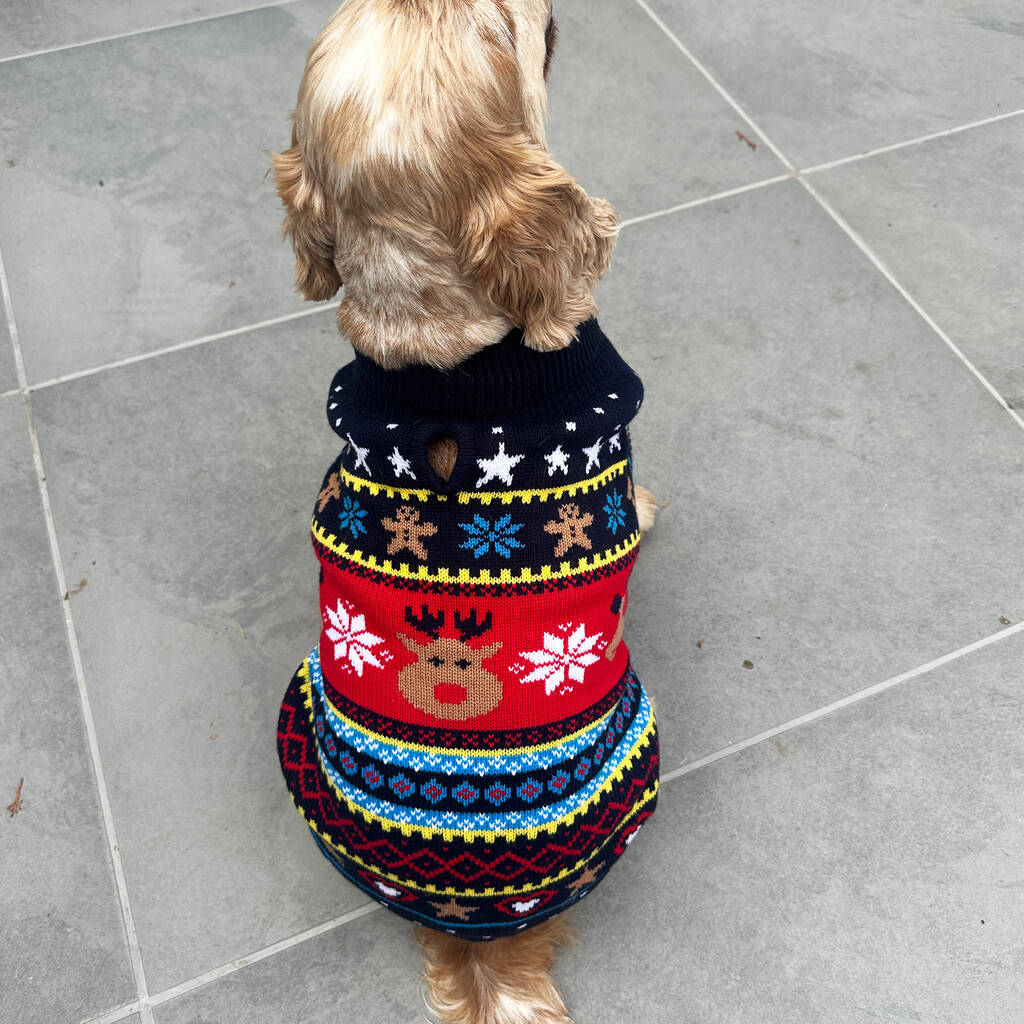 Christmas Navy Fairisle Dog Jumper, 1 of 5