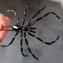 Handmade Spider Hair Pin In Black, thumbnail 9 of 9