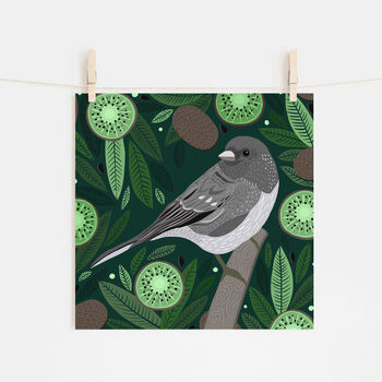 Junco And Kiwis Print, 2 of 2