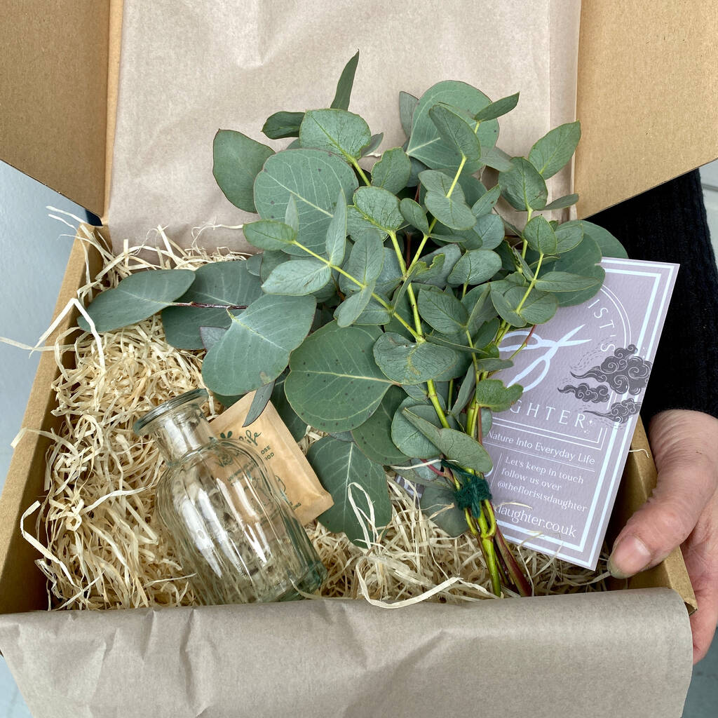 Fresh Eucalyptus Bud Vase Gift Set, 1 of 9
