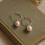 Freshwater Pearl Hoop Earrings ‘Olivia’ – Gold Or Silver Minimalist Bridal Earrings, thumbnail 1 of 9