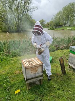 Rural Beekeeping And Craft Beer Experience For Two, 4 of 9