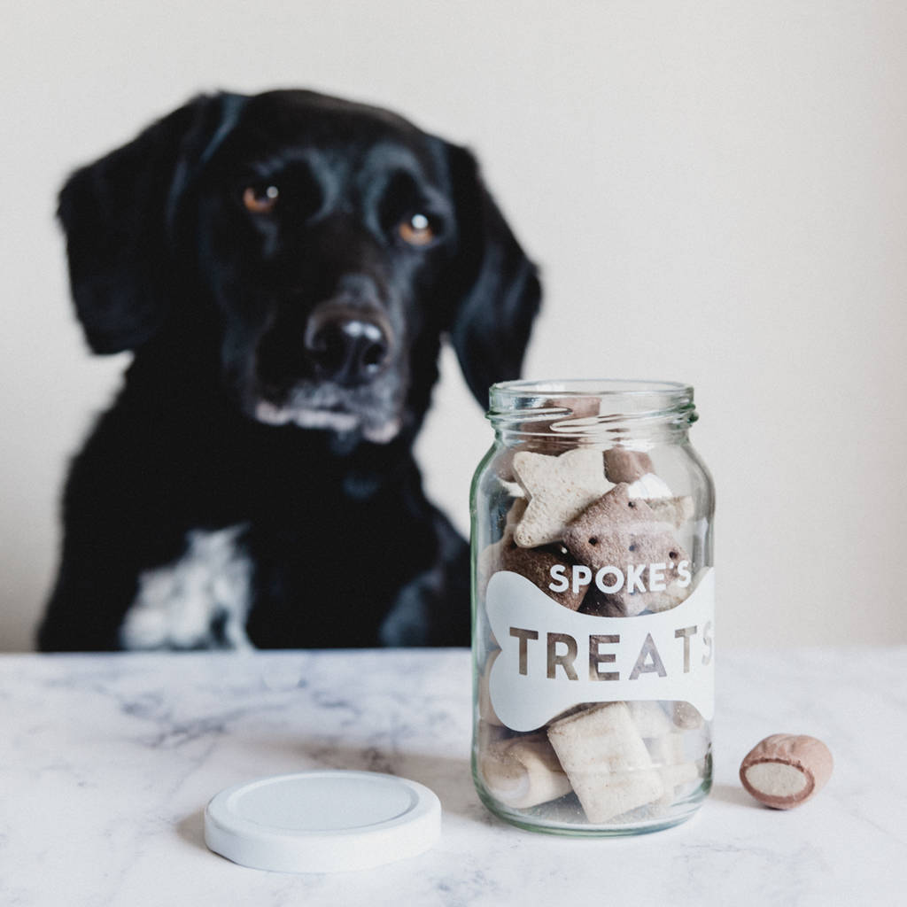 Personalised Cat Treats Storage Jar By Jodie Gaul