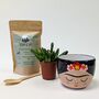 Plant Your Own Succulent Kit With Frida Pot, thumbnail 4 of 5