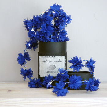 Cornflower Fairy Lights, 6 of 8