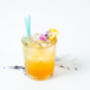 Gin Botanical Cocktail Garden Kit, thumbnail 8 of 12