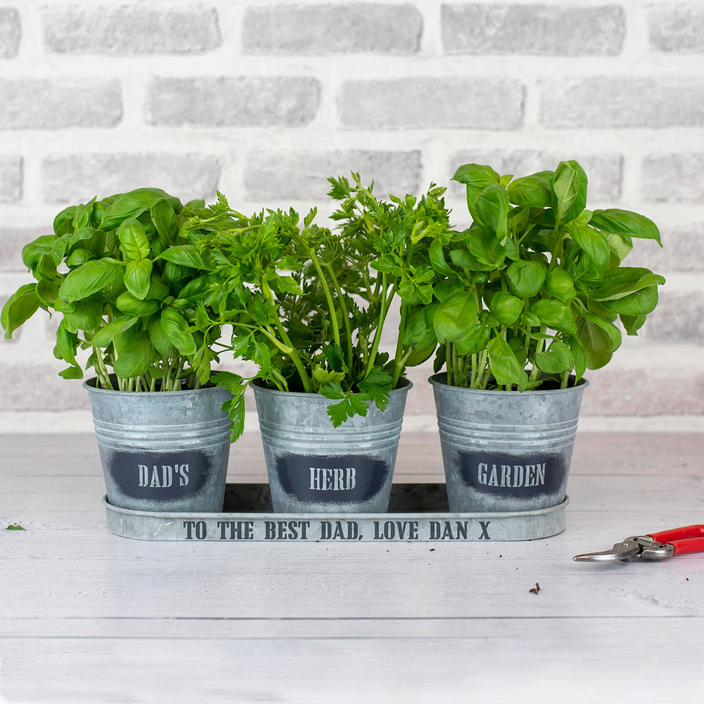 Personalised Zinc Herb Planter By Jonny's Sister