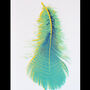 Three Feathers Silkscreen Print, thumbnail 10 of 10