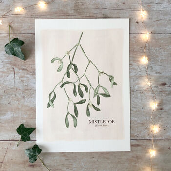 Mistletoe Botanical Print, 3 of 5