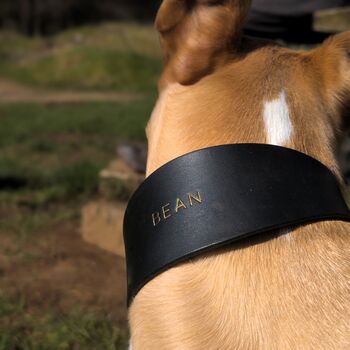 Black Leather Whippet Collar Can Be Personalised, 3 of 6