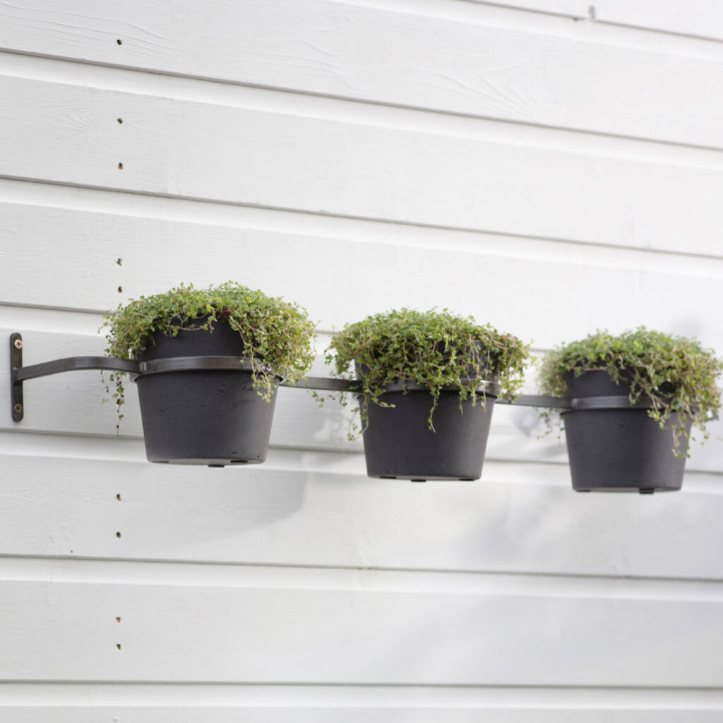 Triple Hanging Wall Pots By all things Brighton beautiful