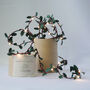 Holly Fairy Light Christmas Decorations Battery LED, thumbnail 5 of 5