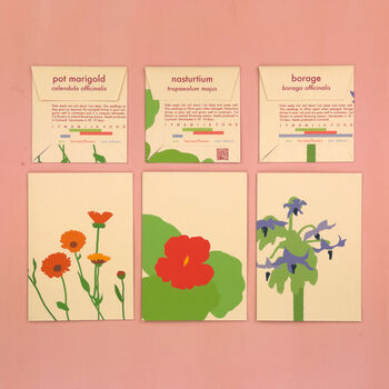 Pot Marigold Greeting Card With Seeds, 5 of 6