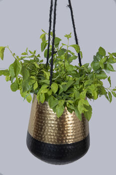 Golden And Black Hanging Plant Pot, 3 of 4